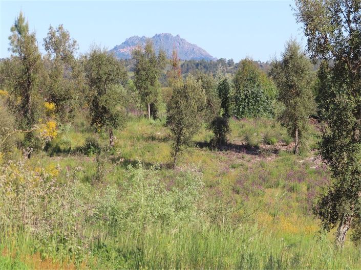 Image No.26-Property for sale