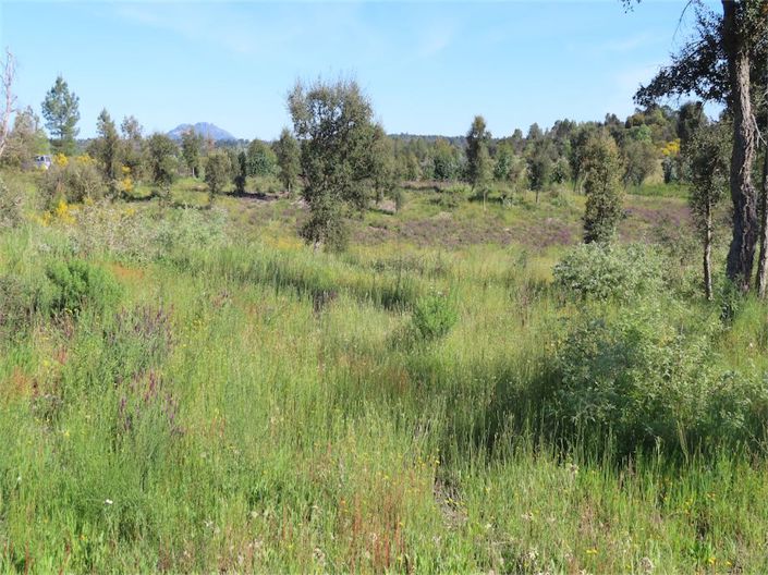 Image No.27-Property for sale