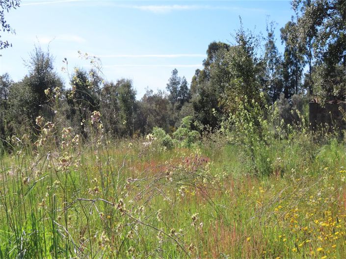 Image No.28-Property for sale