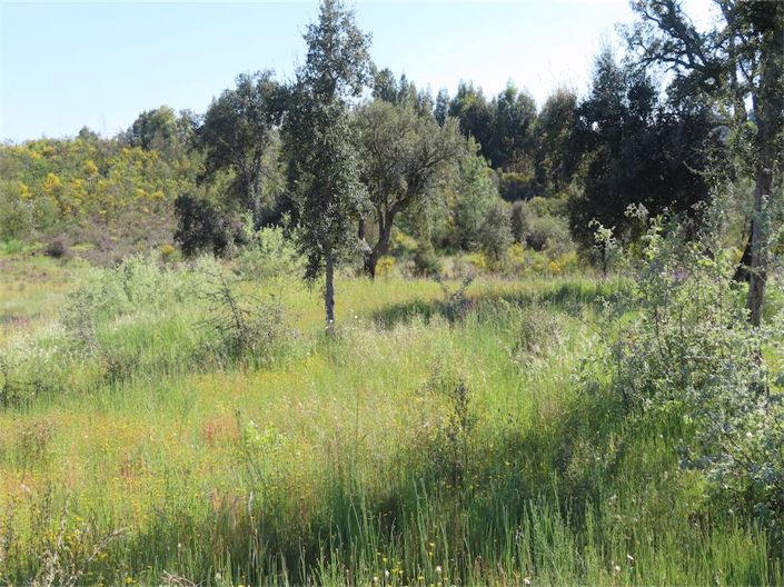 Image No.29-Property for sale