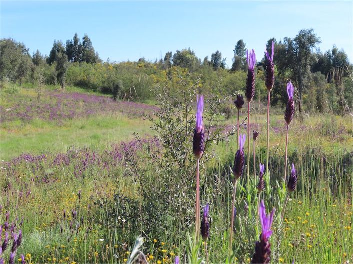 Image No.30-Property for sale