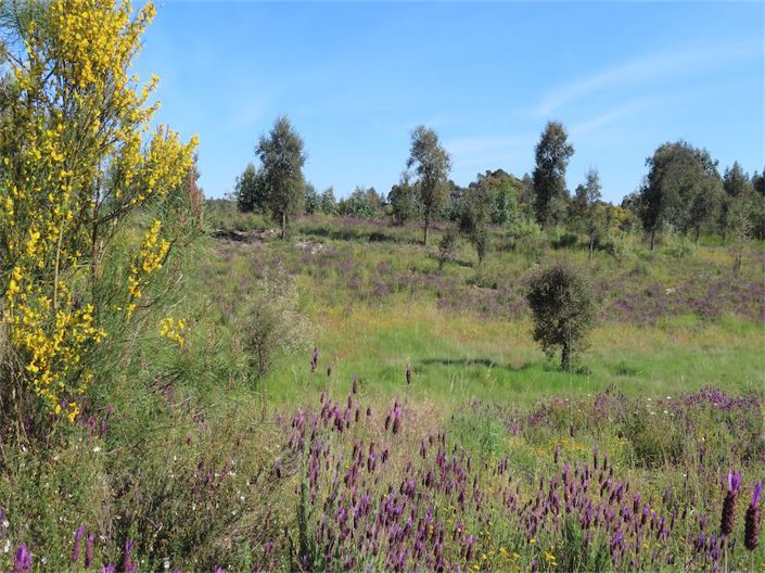 Image No.31-Property for sale