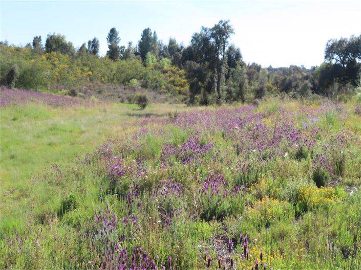 Image No.33-Property for sale