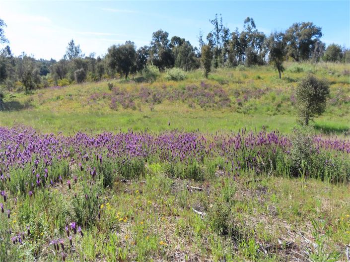 Image No.4-Property for sale