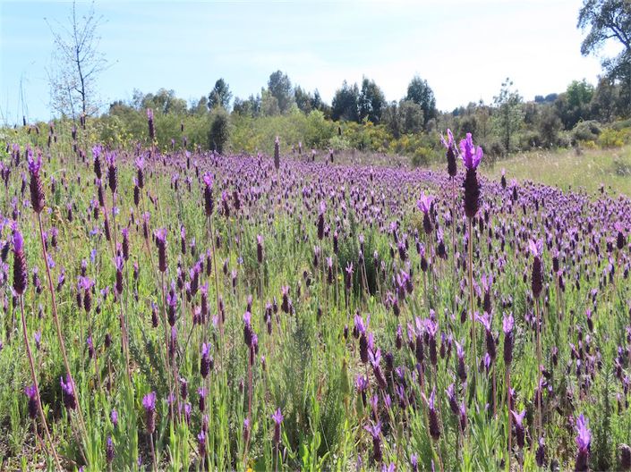 Image No.6-Property for sale