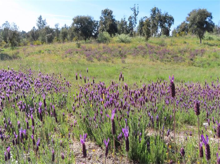 Image No.7-Property for sale