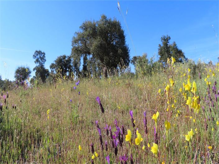 Image No.9-Property for sale