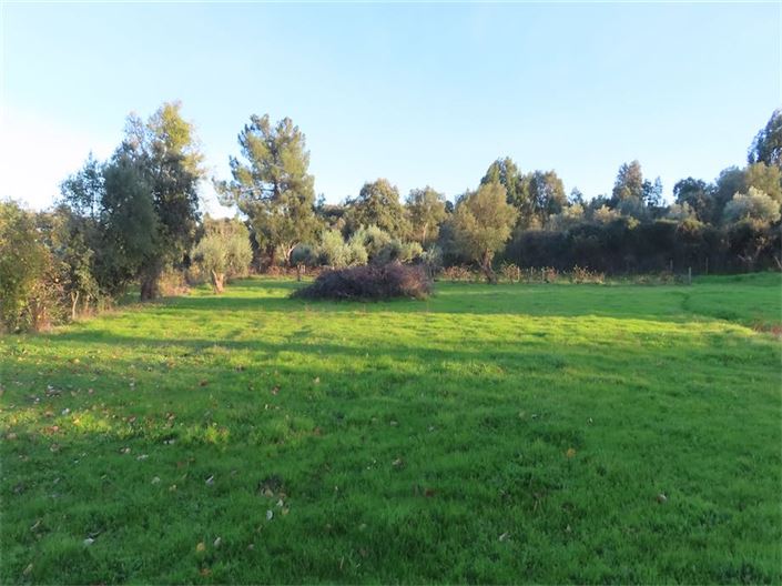 Image No.17-Property for sale