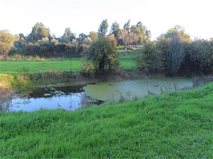 Image No.19-Property for sale