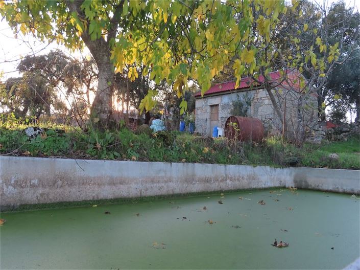 Image No.2-Property for sale