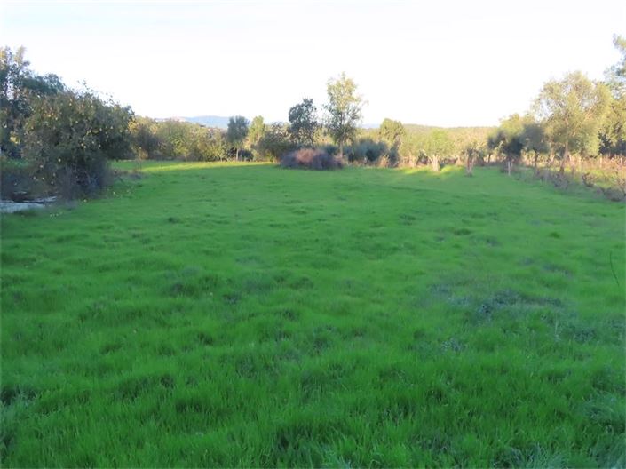 Image No.26-Property for sale