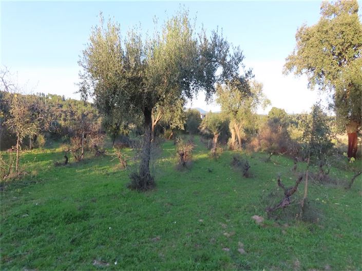 Image No.32-Property for sale