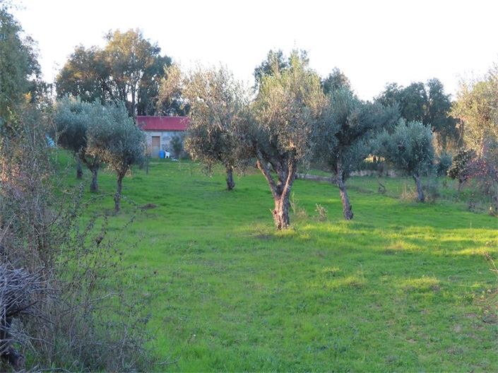 Image No.33-Property for sale