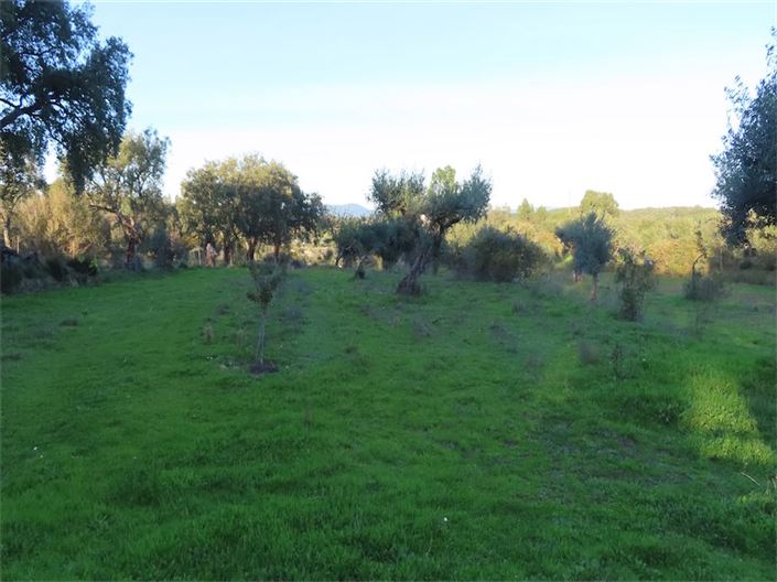 Image No.4-Property for sale