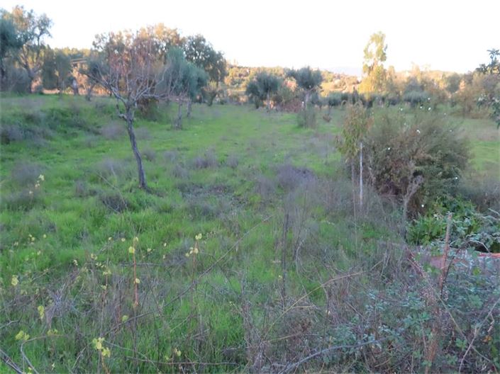 Image No.41-Property for sale