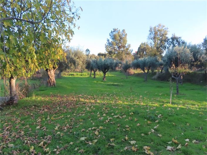 Image No.7-Property for sale