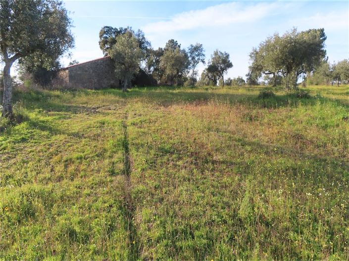 Image No.1-Property for sale