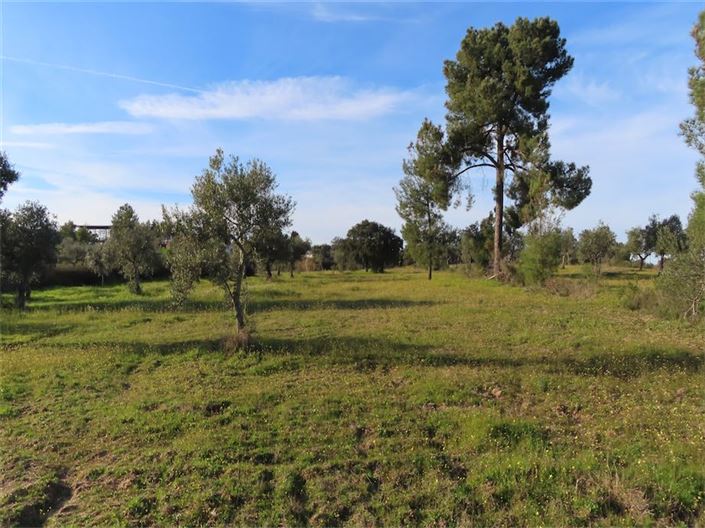 Image No.10-Propriété à vendre à Castelo Branco