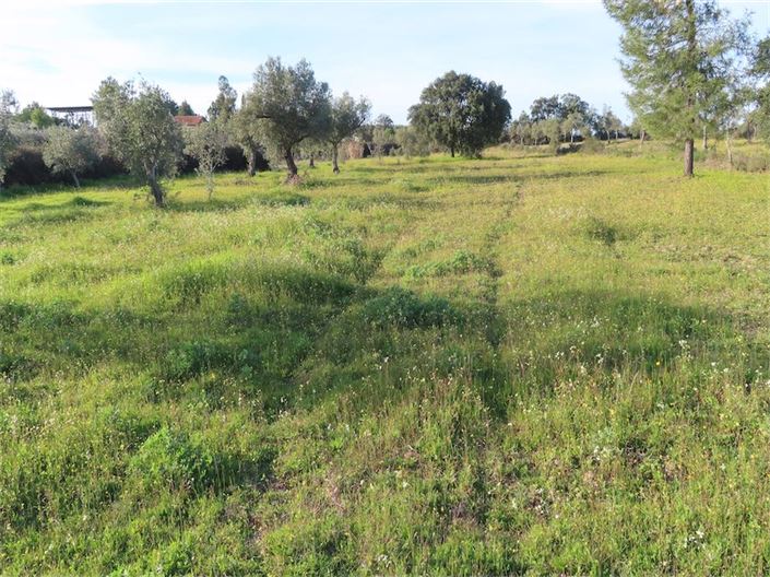 Image No.13-Propriété à vendre à Castelo Branco