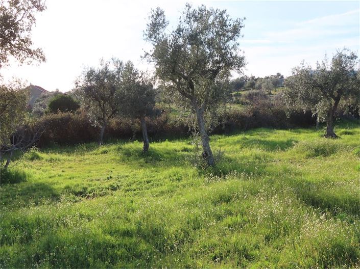 Image No.14-Propriété à vendre à Castelo Branco