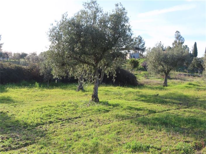 Image No.15-Propriété à vendre à Castelo Branco