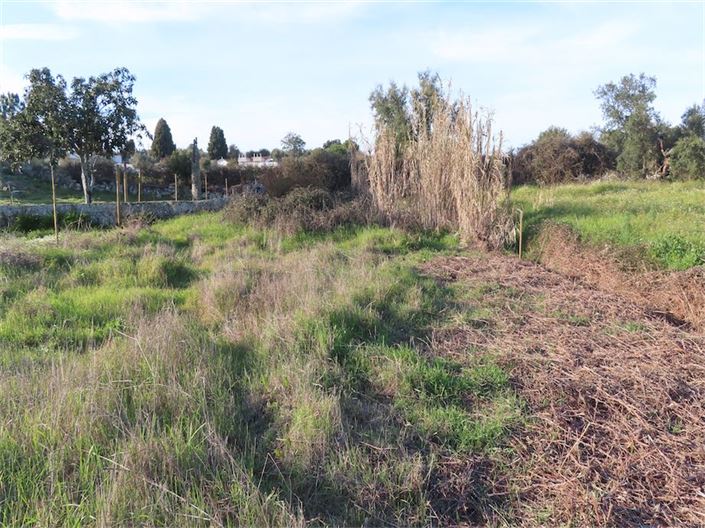 Image No.17-Propriété à vendre à Castelo Branco