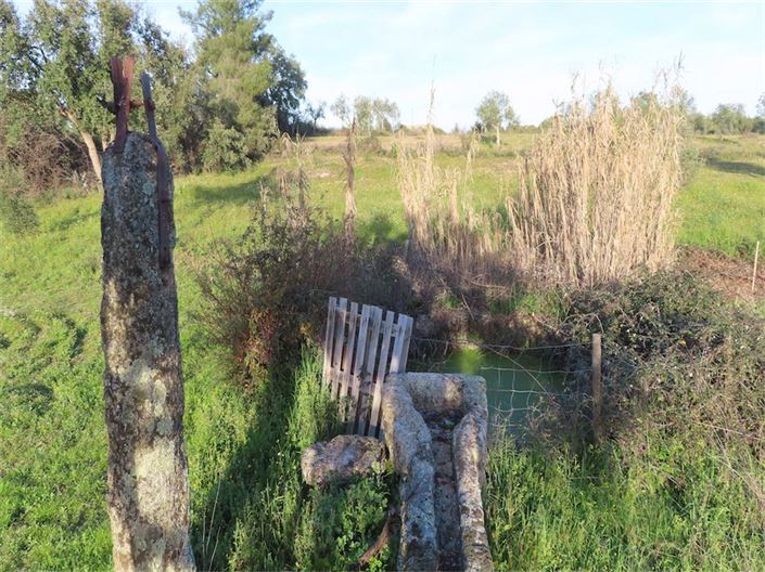 Image No.19-Propriété à vendre à Castelo Branco