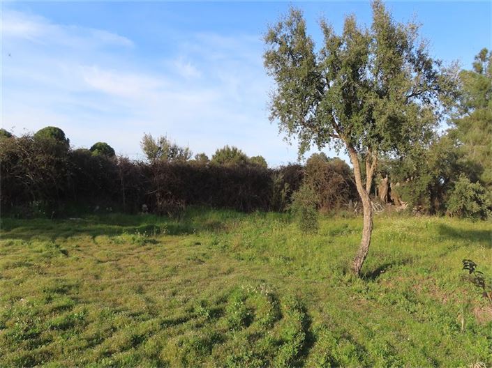 Image No.22-Propriété à vendre à Castelo Branco