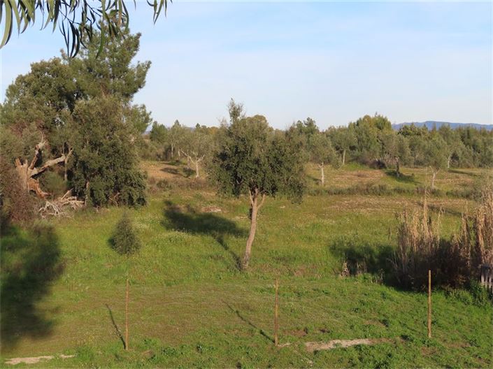 Image No.23-Propriété à vendre à Castelo Branco