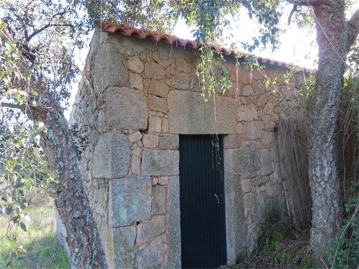 Image No.7-Propriété à vendre à Castelo Branco