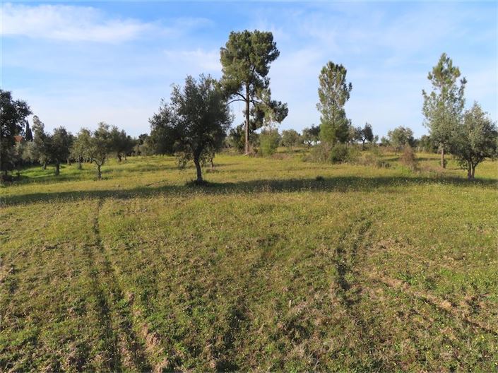 Image No.8-Propriété à vendre à Castelo Branco