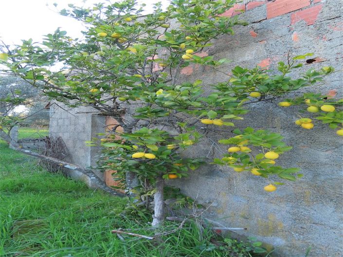 Image No.13-Property for sale