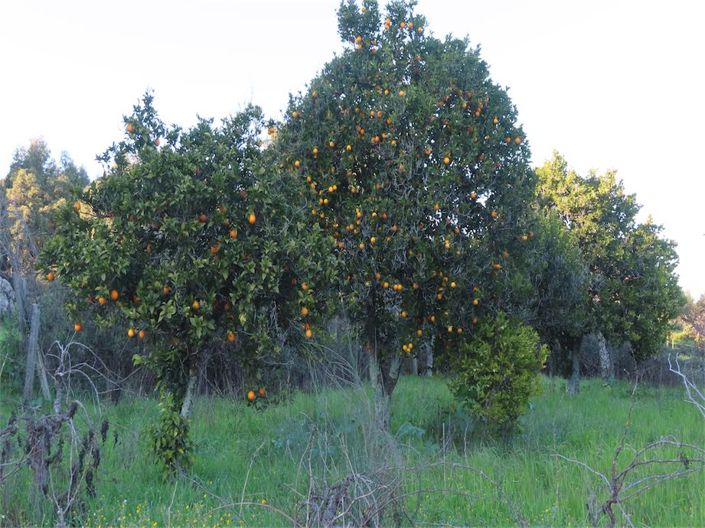 Image No.15-Property for sale