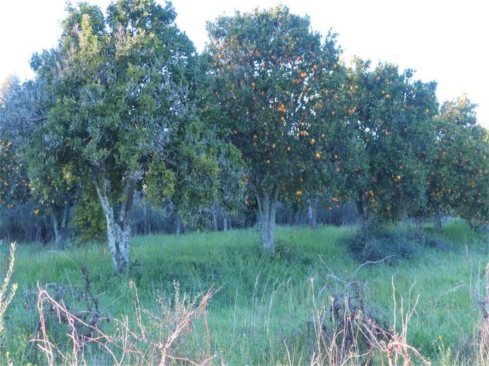 Image No.16-Property for sale