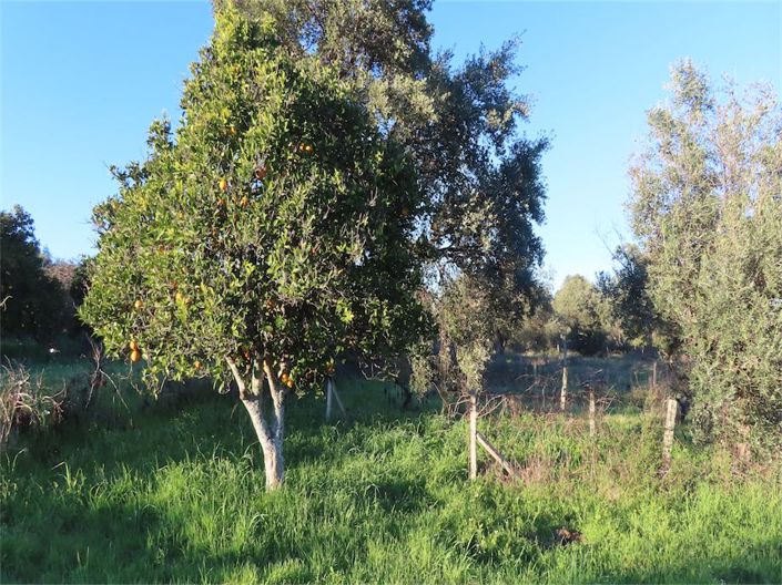 Image No.17-Property for sale