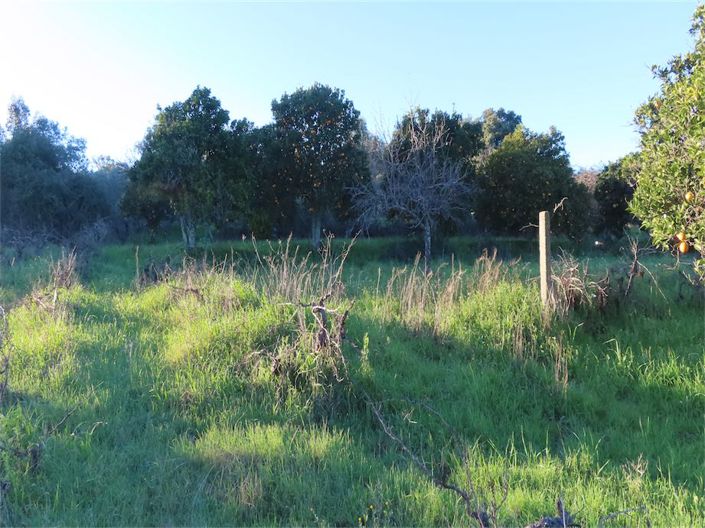 Image No.18-Property for sale