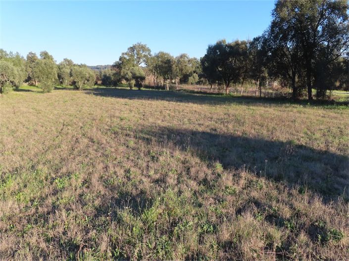 Image No.19-Property for sale