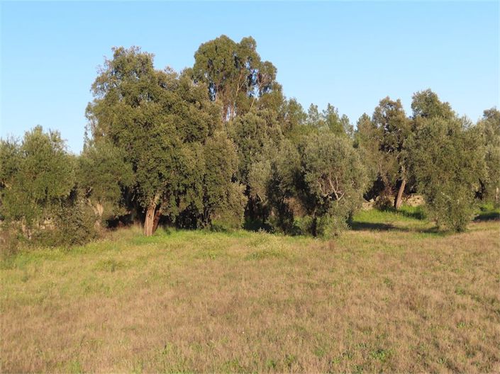 Image No.20-Property for sale