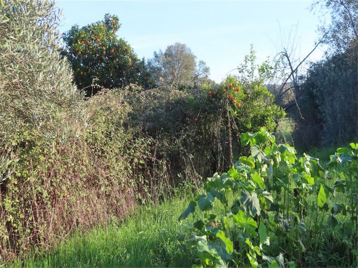 Image No.25-Property for sale