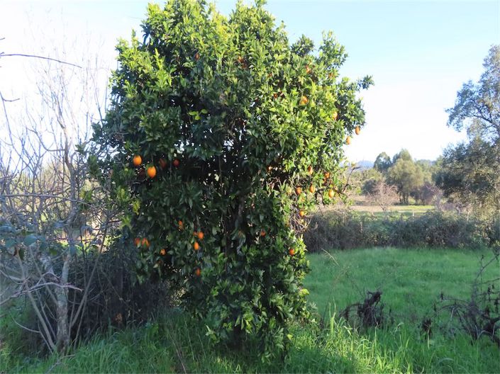 Image No.26-Property for sale