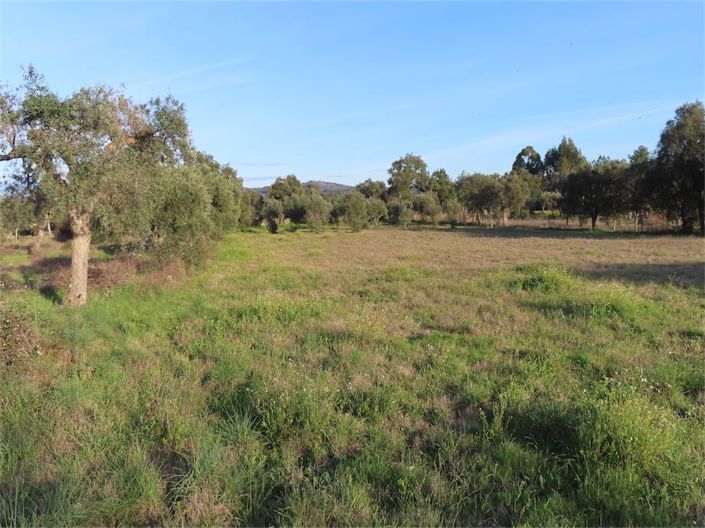 Image No.27-Property for sale