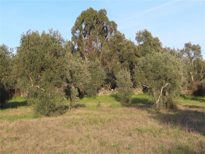 Image No.30-Property for sale