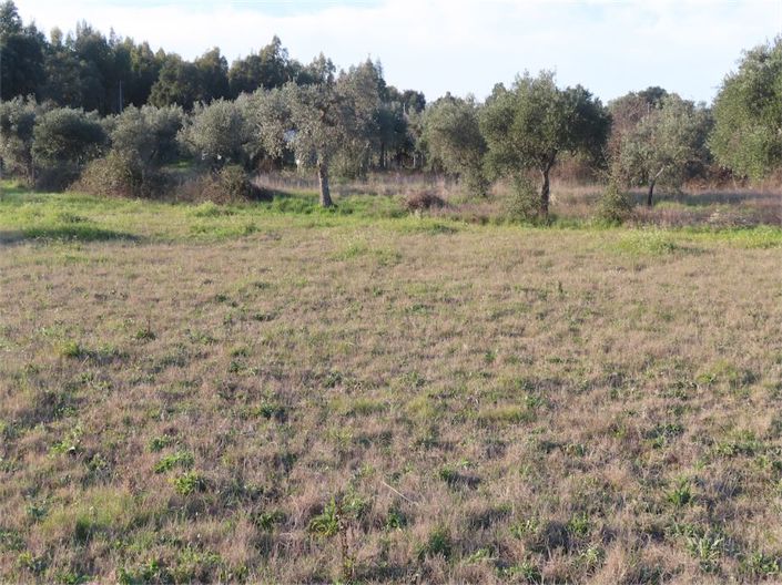 Image No.32-Property for sale