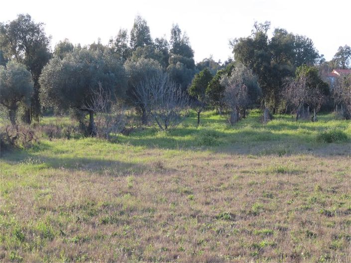 Image No.33-Property for sale