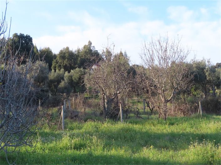 Image No.34-Property for sale