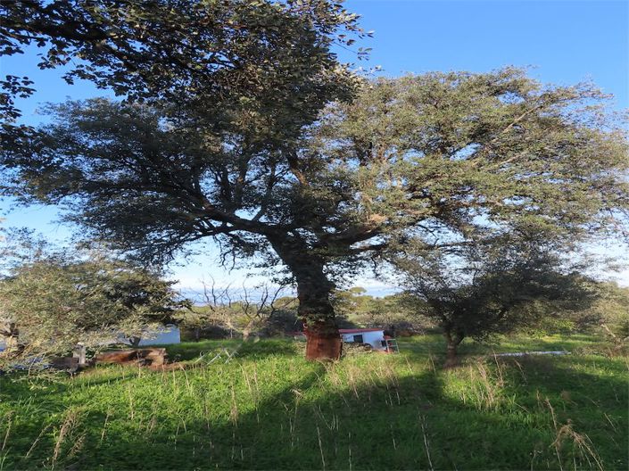 Image No.35-Property for sale