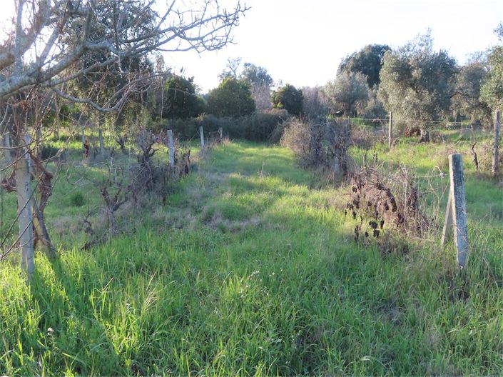 Image No.36-Property for sale