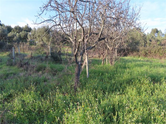 Image No.39-Property for sale