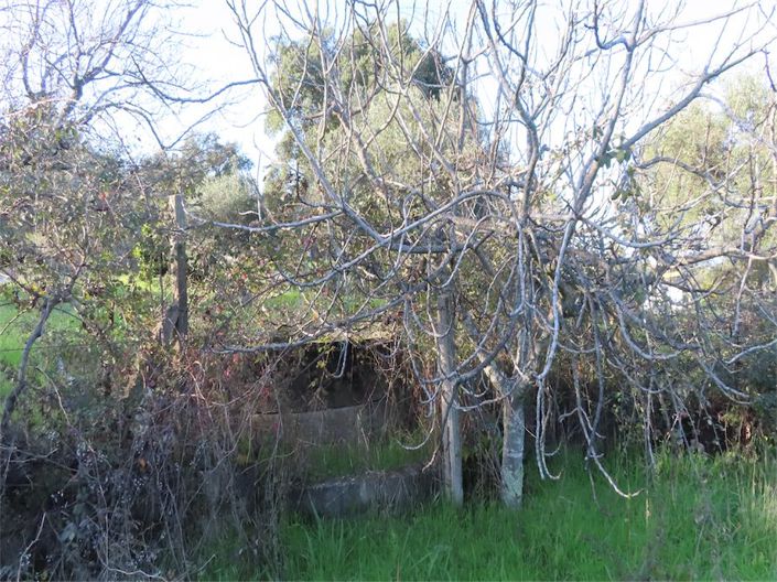 Image No.4-Property for sale