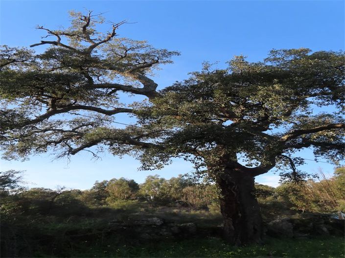 Image No.40-Property for sale